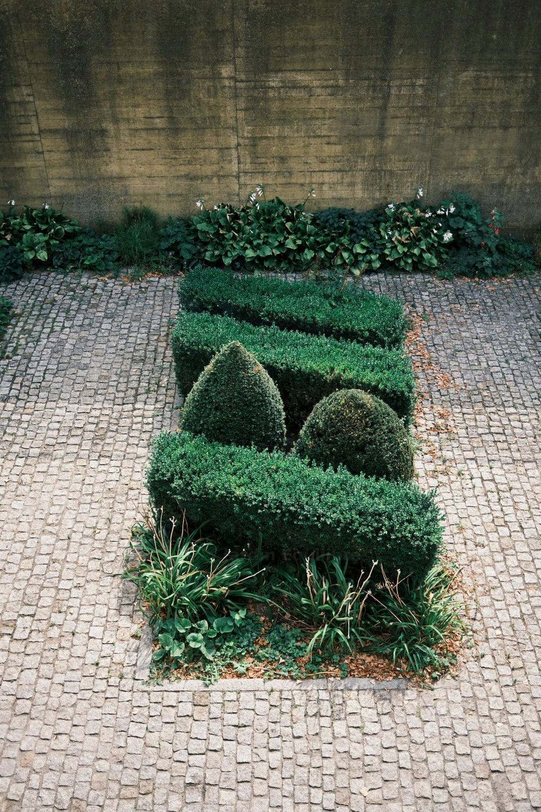 Jardin Équilibre 15