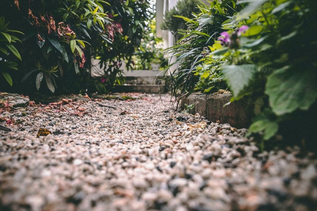 Jardin Équilibre 2