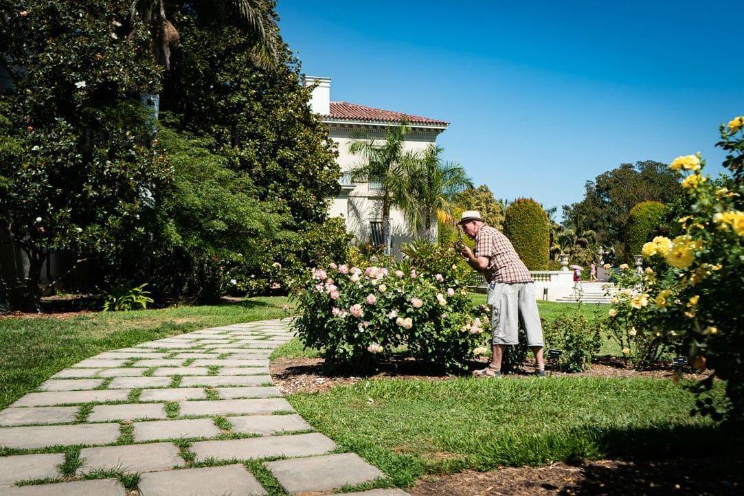 Jardin Équilibre 3