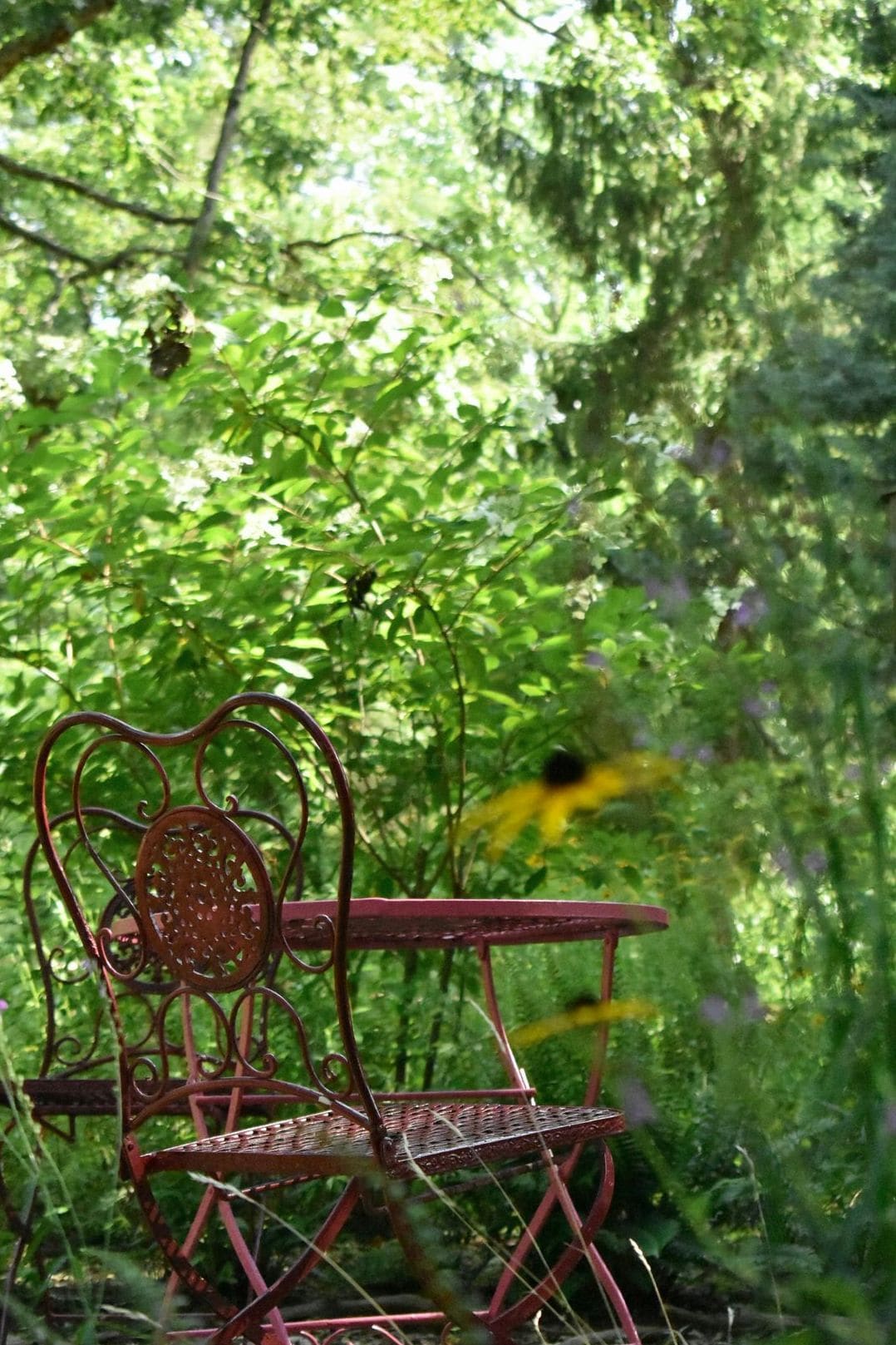 Jardin Équilibre 8