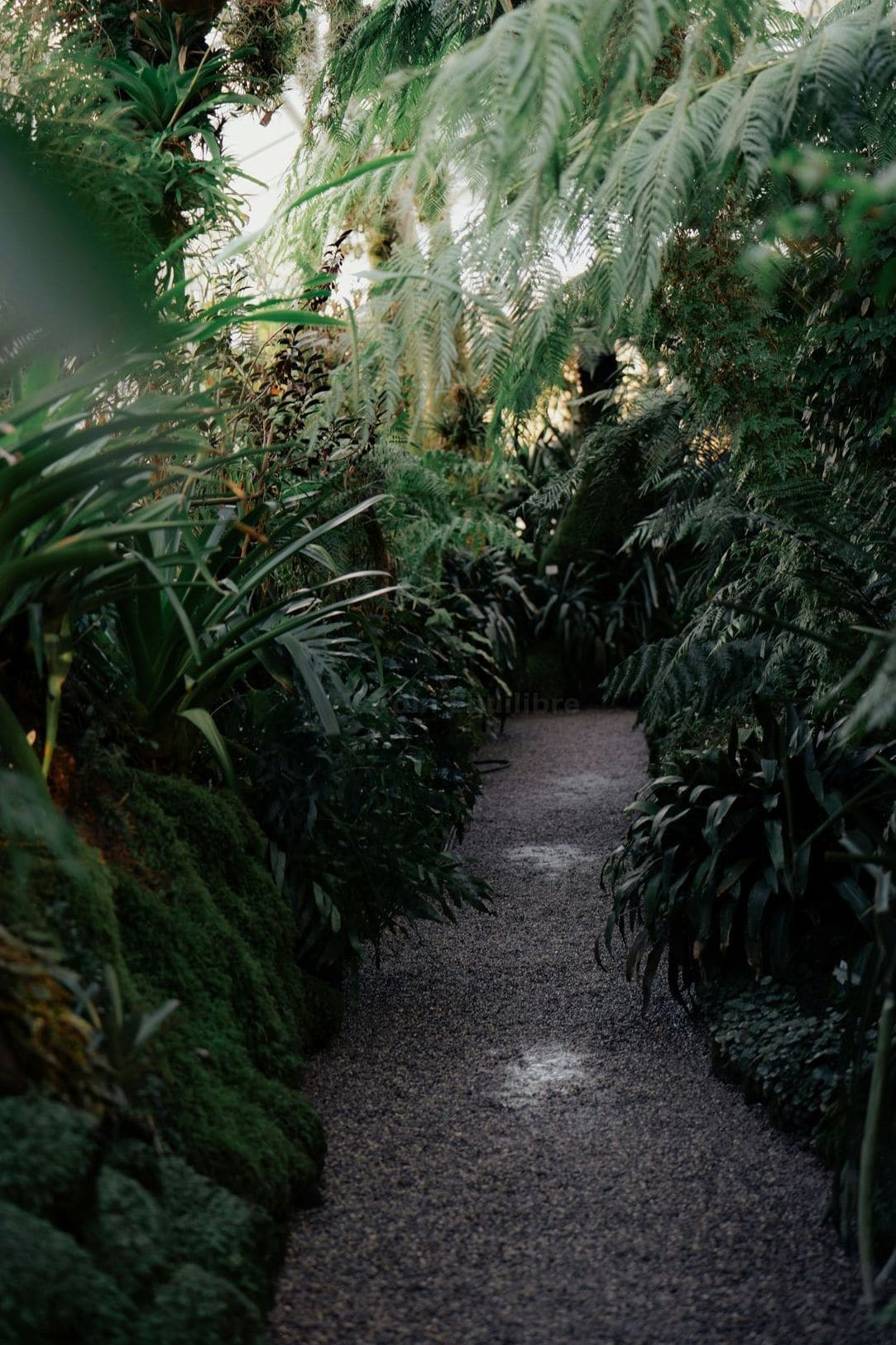 Jardin Équilibre 9