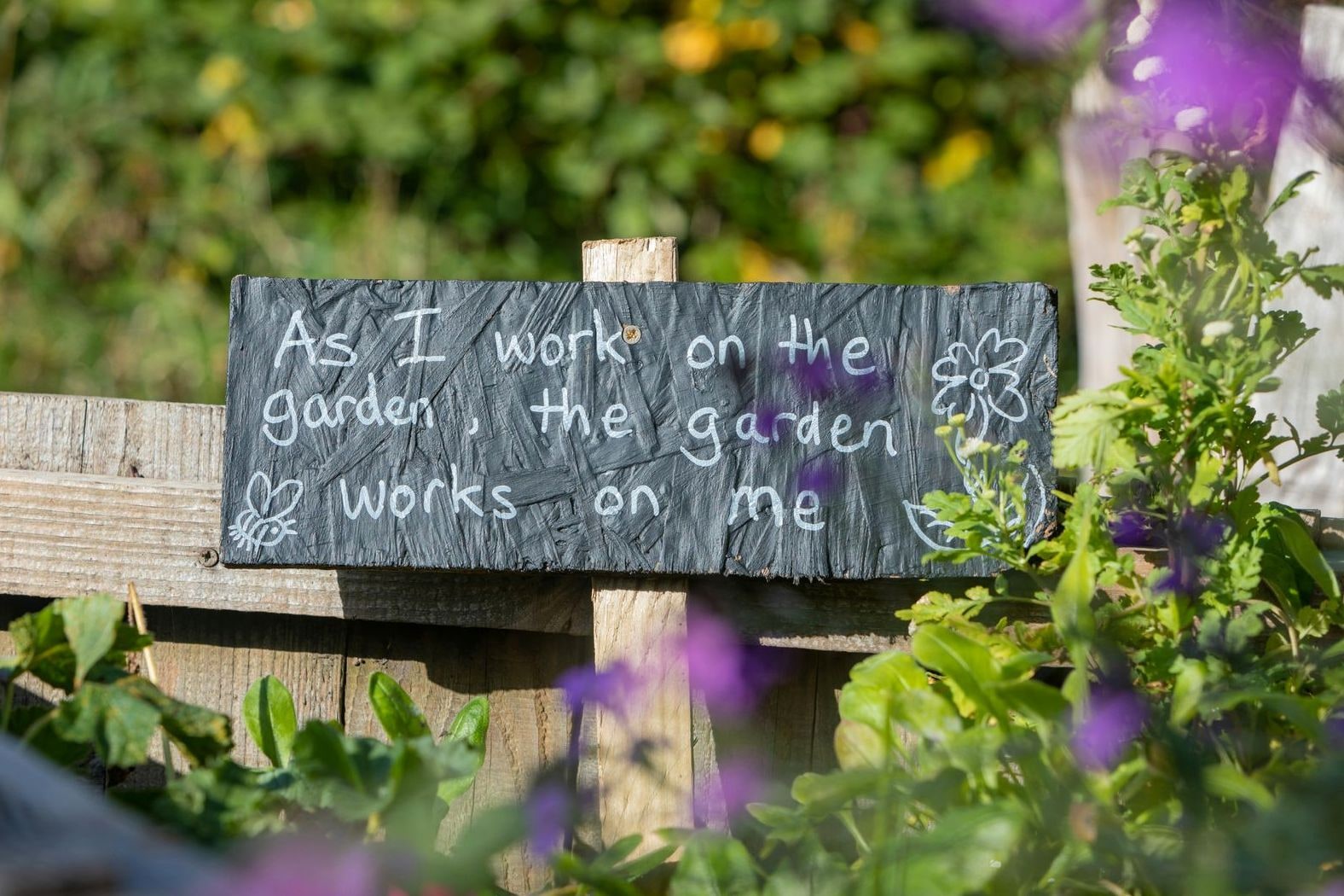 Jardin Équilibre