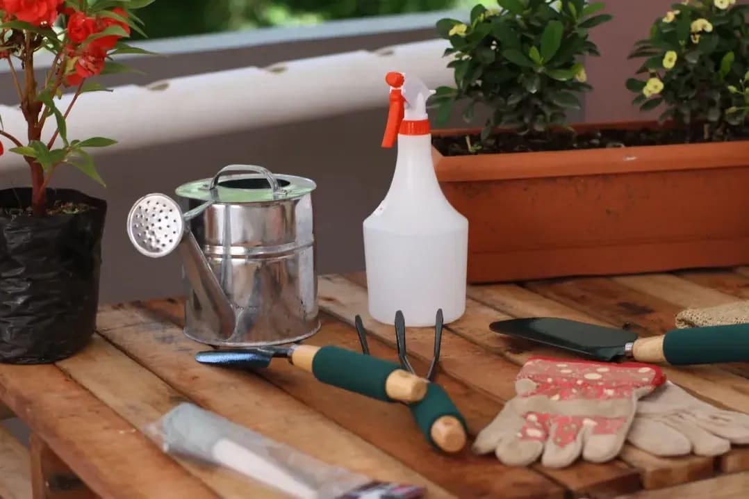 Échanger sur le jardin et les besoins